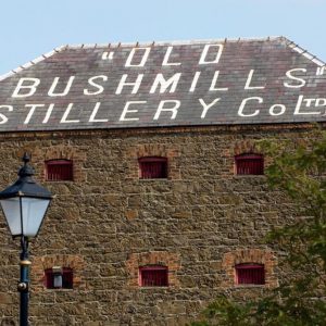 bushmills distillery